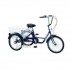 Ποδήλατο Gomier 3-Wheels TR 20'' 5-Speed 