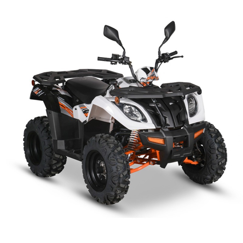 Daytona ATV Kayo 300